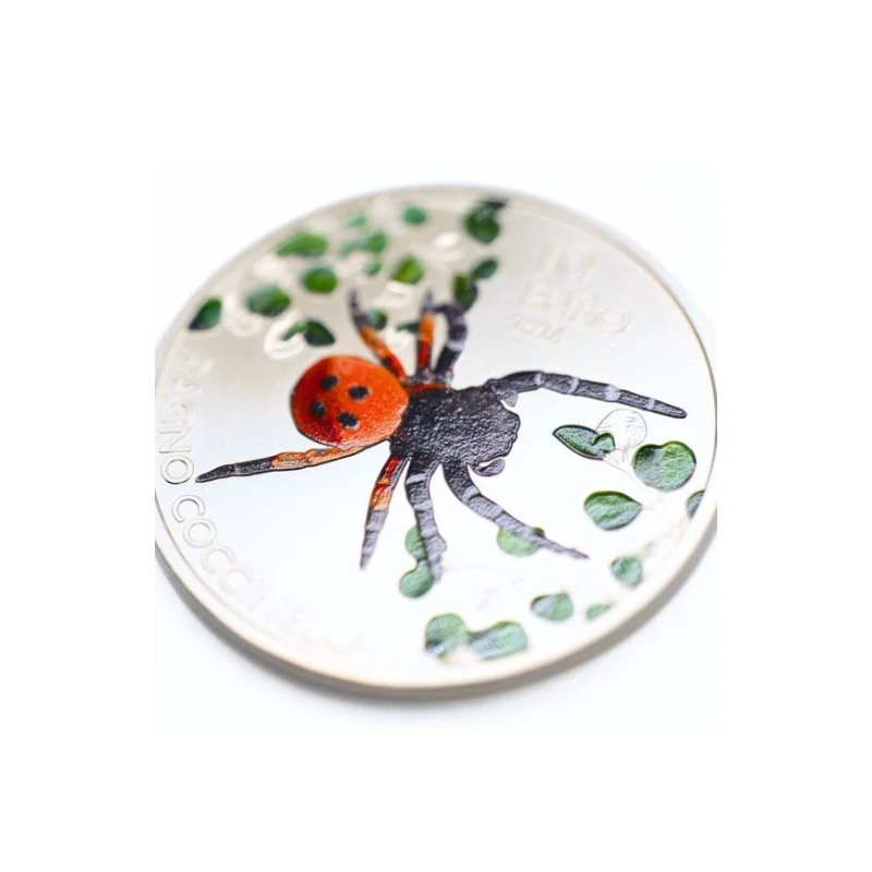 san-marino-2026-fauna-ragno-coccinella-2.webp