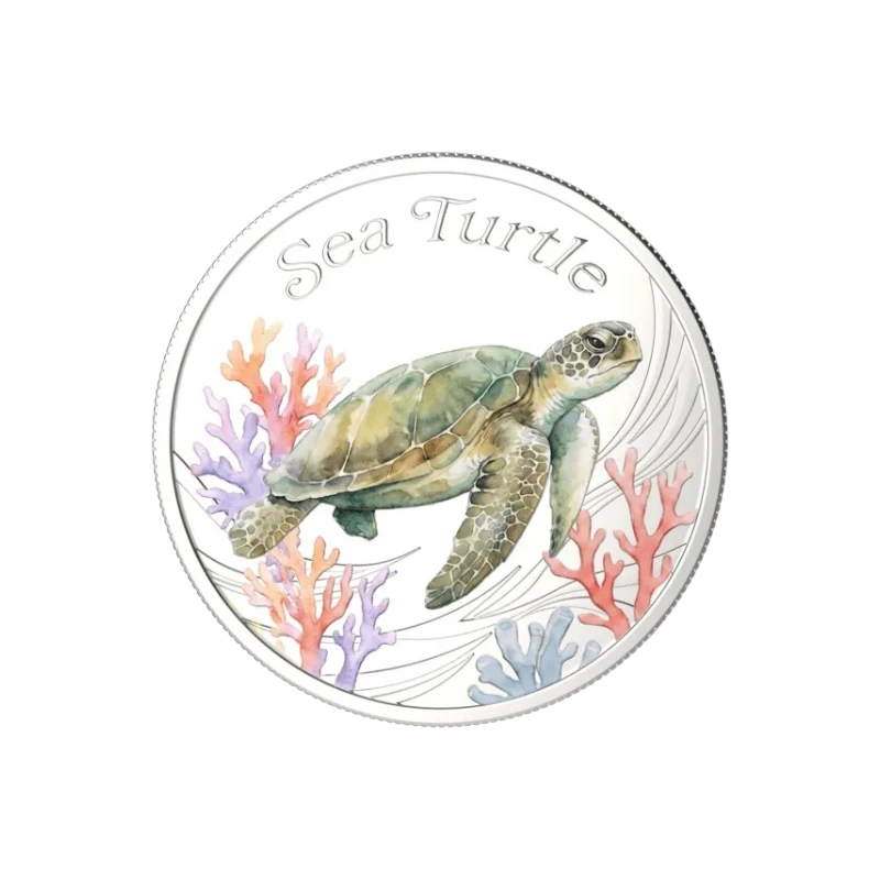 solomon-island-sea-turtle-1.webp