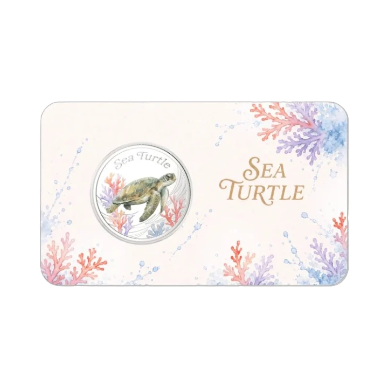 solomon-island-sea-turtle-3.webp