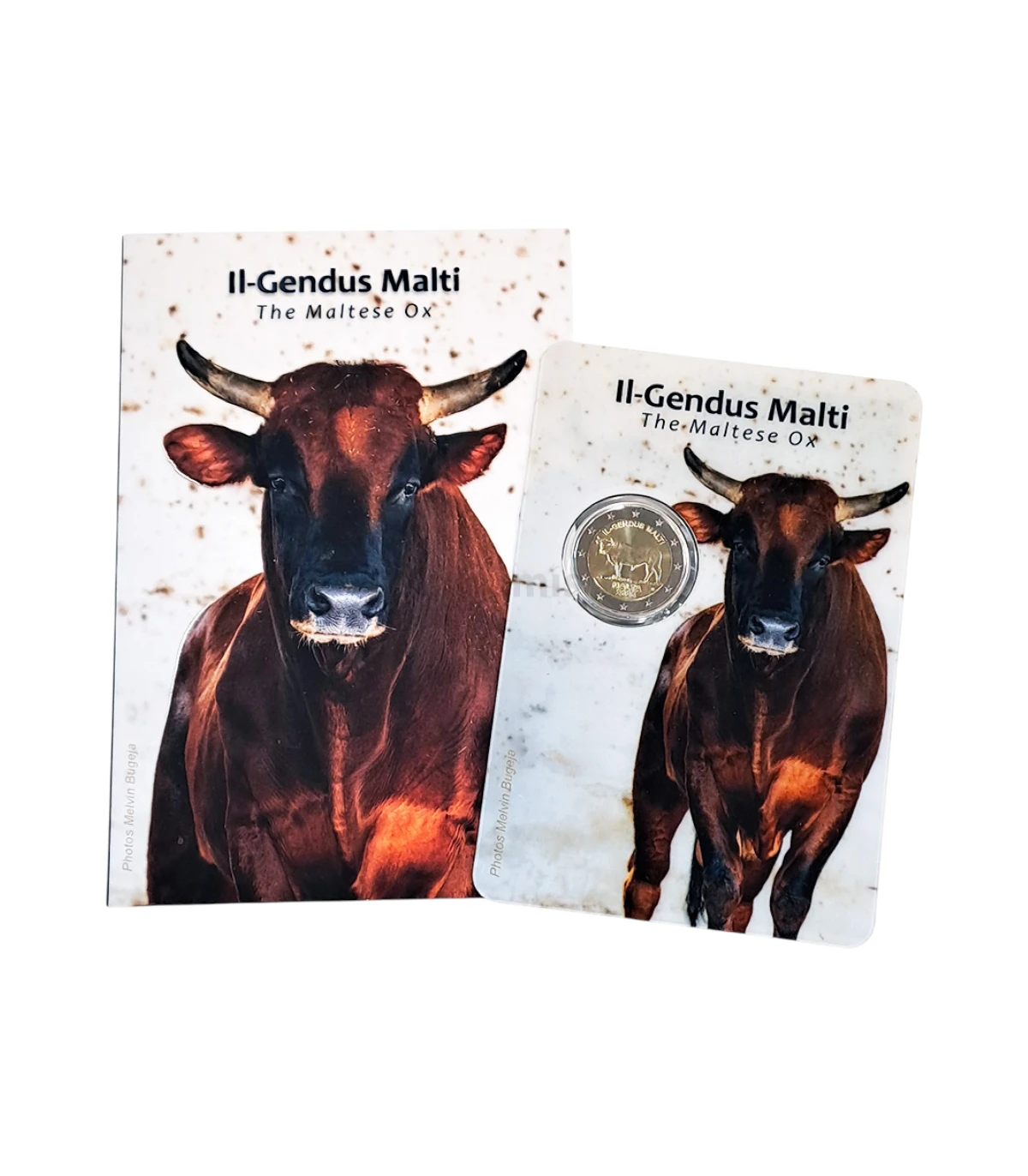 Malta 2025 – Boi Maltês – 2€ CC